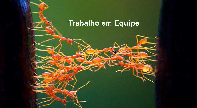 Trabalho Em Equipe Conceito O Que é Conceito Significado