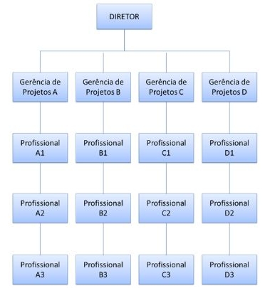 Estrutura organizacional com base em projetos