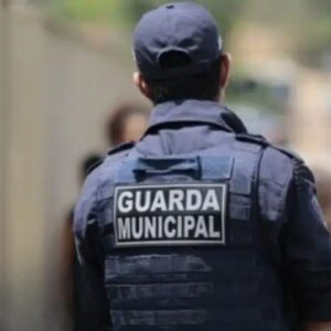 Guarda Municipal no Brasil: Funções, Âmbito de atuação e Contribuições para Segurança Pública