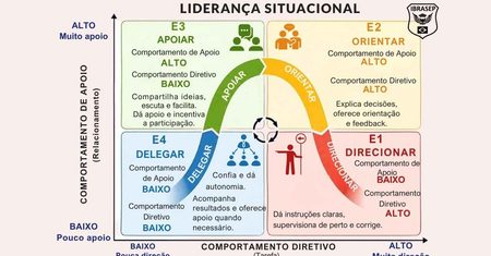 Liderança Situacional: o que é, como funciona e quando aplicar