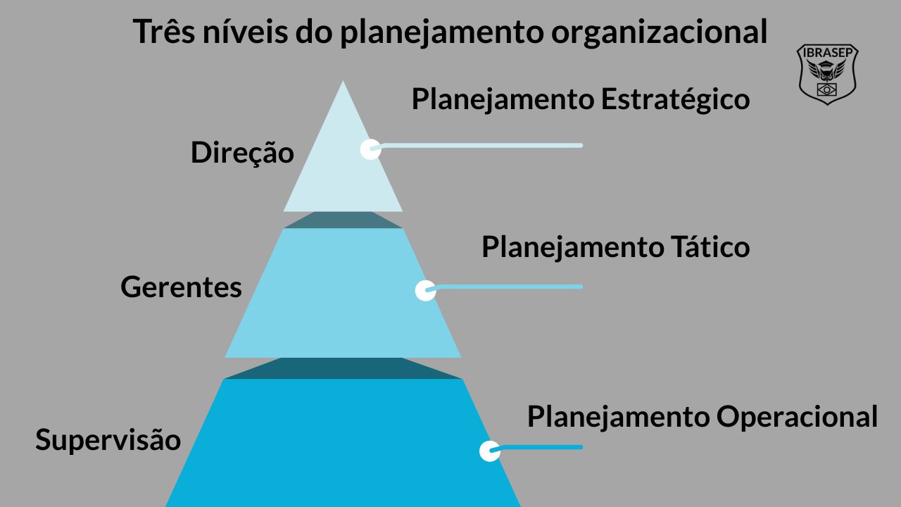 Infográfico Níveis Planejamento Organizacional
