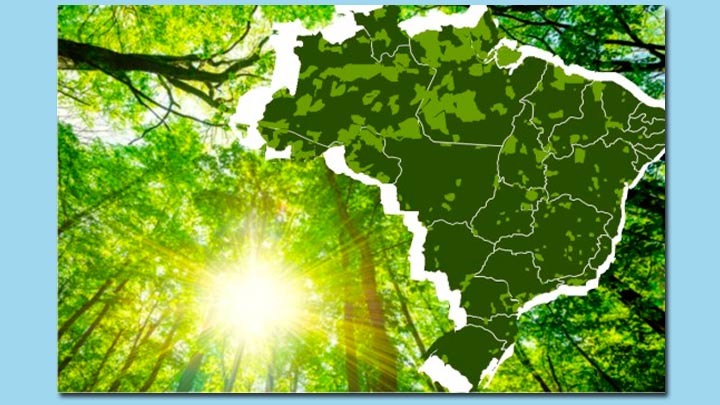 Imagem do mapa do Brasil entre imagem folhas de uma floresta. Alusão a Unidades de Conservação