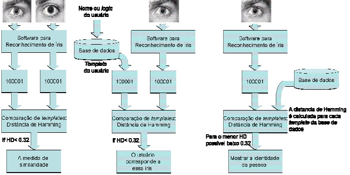 Processo comparação, verificação e identificação biométrico