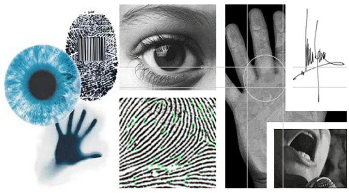 Imagens de digitais, olho humano, mão, e assinatura: exemplos de biometria.