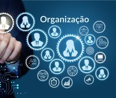 Organização [Função Administração] Conceitos, Objetivos e Princípios