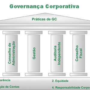 Governança Corporativa nas Empresas, Conceitos e Princípios