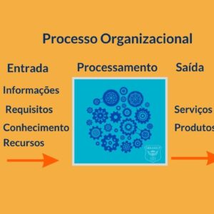 Processo Organizacional: O que é, Tipos, Importância, Exemplos