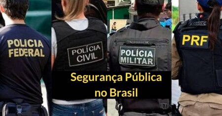 Segurança Pública no Brasil: O que é, Função, Responsabilidades