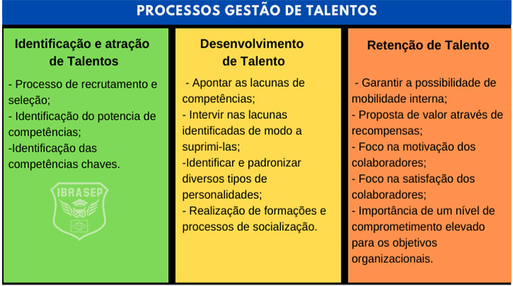 Processo gestão de talentos