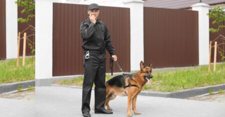 Utilização de Cães na Segurança Privada: Como é empregado na vigilância patrimonial